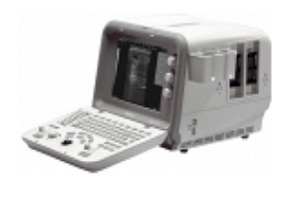 DUS-6-VET.jpg